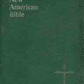 NAB - PERSONAL GRN LEATHER&ZIP