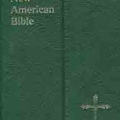 NAB -PERSONAL GRN LEATHER&FLAP