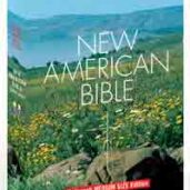 NAB - STUDENT EDITION MEDIUM